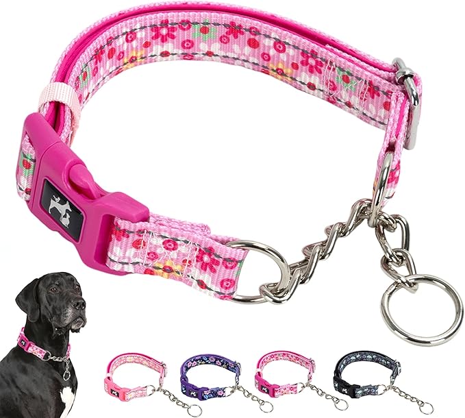 Martingale Dog Collar - Gentle Correction with No More Pulling - Strong 100% Stainless Steel Chain Softer, Padded Edges Nylon Stainless Chain Dog Collar -XL