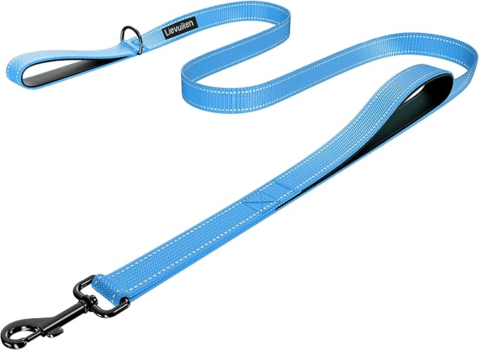 Dog Leash 4ft Long, Double Handle Dog Leash for Safety Control Training, Heavy Duty Dogs Leads with Traffic Padded Handles, Reflective Leashes for Small Medium Large Dogs(4ft, Sky Blue)