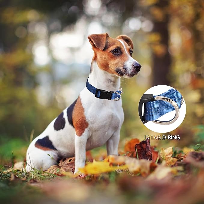 Martingale Dog Collar with Quick Release Buckle Steel Chain No Pull Training Reflective Collar for Medium Large Dogs(Blue, Medium)