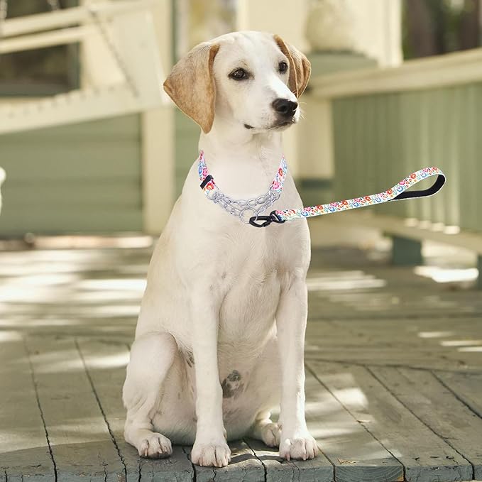 Martingale Dog Collar with Stainless Steel Chain - Limited Chain Cinch Training Collar for No Pull Training Dog - Flower Multicolor Cute Patterns - Premium No Slip Collar (XL, White Set)
