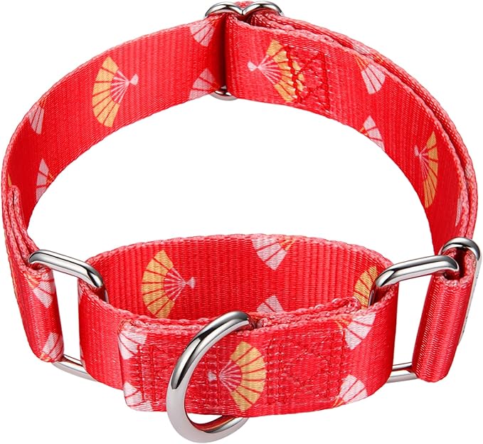 Mikivery Martingale Collar for Dogs 1 inch Sturdy Durable Collars Medium and Large Breed for Walking Training Outdoor Daily Use