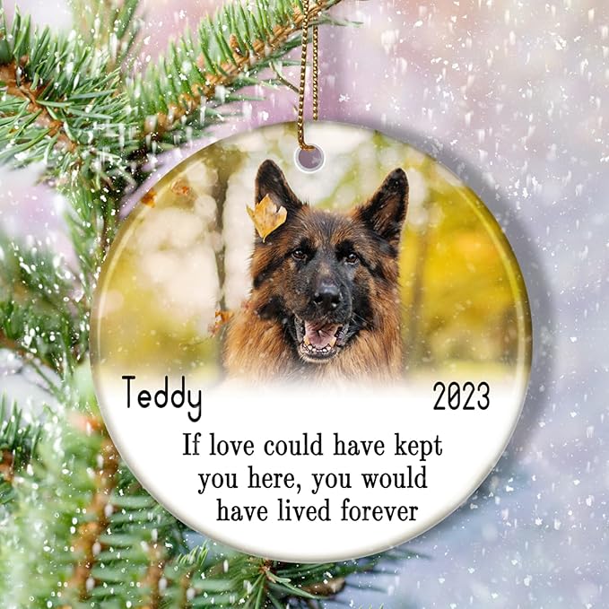 Pet Memorial Ornament with Photo - Pet Loss Keepsake