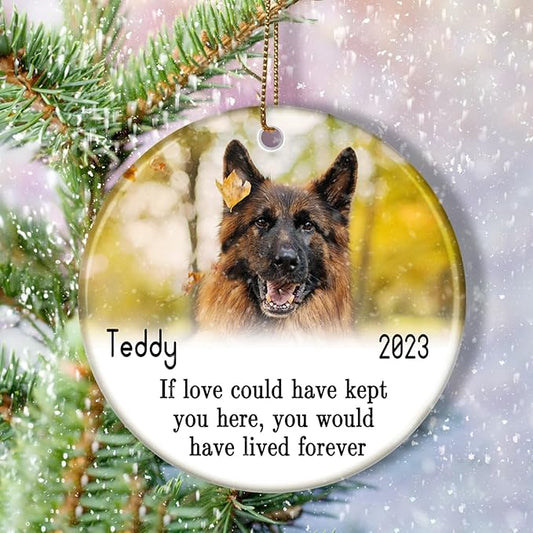 Pet Memorial Ornament with Photo - Pet Loss Keepsake