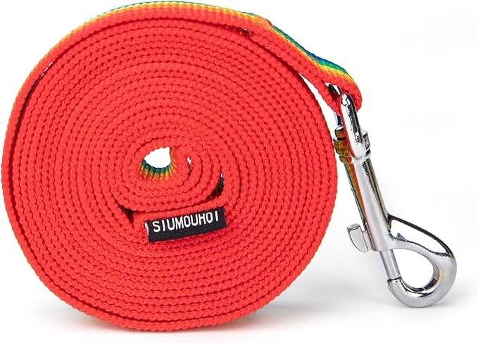 Strong Durable 6 ft Nylon Dog Training Leash, 1 Inch Wide Traction Rope, for Small and Medium Dog (Rainbow, 6 Feet)