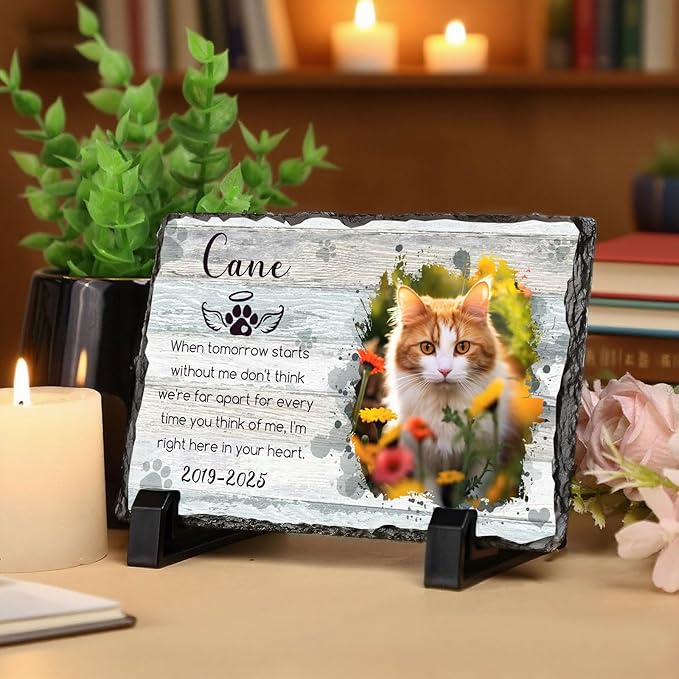 Ship Next Day, Customized Pet Memorial Stones for Dogs Cats Memorial Gifts for Loss of Dog Death Sympathy Gift with Photo Picture Name Date Personalized Pet Frame