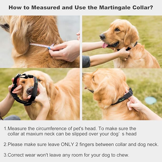 Martingale Dog Collar, No-Buckle Escape-Proof Design, Heavy-Duty Nylon and Welded D-Ring, Adjustable Training Collar for Medium Large Dogs (Classic Black, L)