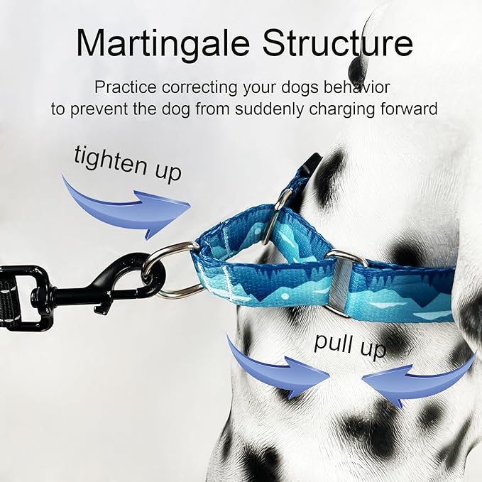 Martingale Collar for Dogs with Buckle Dog Collar Adjustable Soft Nylon Boy Dog Collars for Small Dogs, Blue Sunset