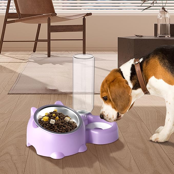 Dog Bowls, Cat Food and Water Bowl Set 16 Degree Tilted Dog Dish with Water Dispenser Automatic Dispenser Bottle Spill Proof Pet Feeder for Cats and Dogs