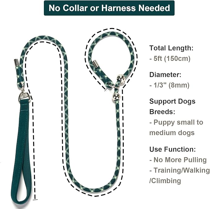 Slip Lead Dog Leash 5 Ft No Pull Reflective Nylon Dog Rope Training Leash with Padded Handle for Puppy Small Medium Dogs(Dark Green)
