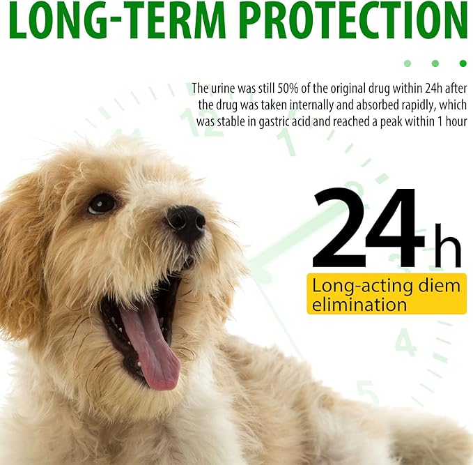 Antibiotic for Dogs, Natural Dog Antibiotic Supplement for Urinary Tract Support, Digestion & Skin Health with Herbal Blend, Dog Supplies for Overall Dogs Health, Bacon Flavored Liquid - 60ml / 2.02oz