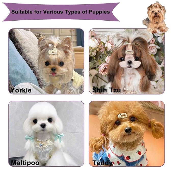 Cloud-Shaped Soft Bristle Puppy Brush for Small Dogs - Yorkie, Shih Tzu, Maltese, and Toy Poodles Grooming Tool with Detachable Lint Comb and Gift Box （Purple）