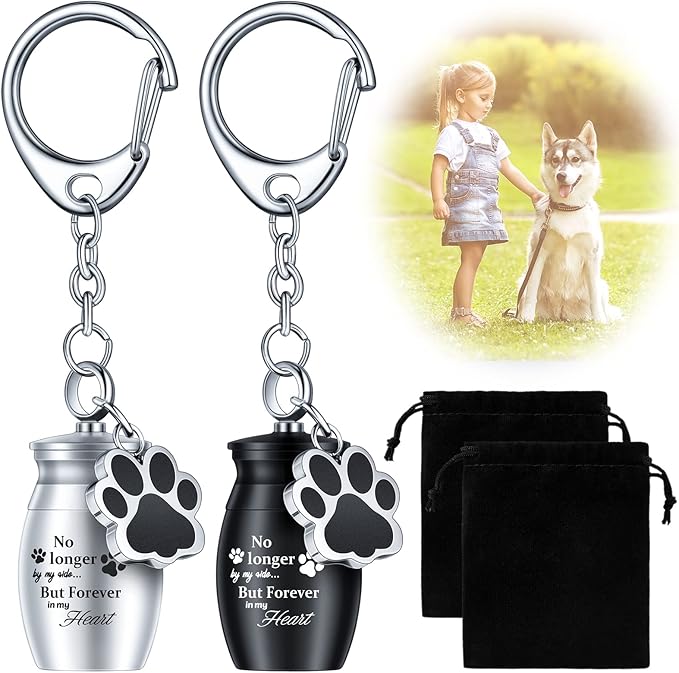 Tudomro 2 Pcs Pet Dog Urns Keychain for Ashes with 2 Storage Bags Small Cat Cremation Keepsake Jewelry Paw Print Memorial Urn