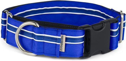 If It Barks - 1.5" Martingale Collar for Dogs - Quick Snap Release Buckle - Adjustable - Nylon - Strong and Comfy - Ideal for Training - Made in USA - Small, Blueberry