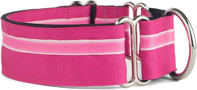 If It Barks - 1.5" Martingale Collar for Dogs - Adjustable - Nylon - Strong and Comfy - Ideal for Training - Made in USA - Large Bubble Gum