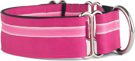 If It Barks - 1.5" Martingale Collar for Dogs - Adjustable - Nylon - Strong and Comfy - Ideal for Training - Made in USA - Small, Bubble Gum