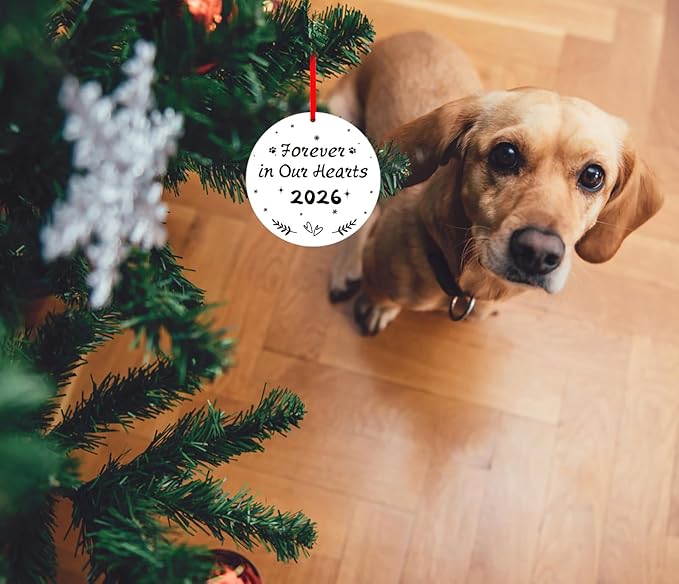 WaaHome Picture Frame Dog Memorial Christmas Ornaments 2026 - Forever in Our Hearts Personalized Pet Memorial Ornaments for Christmas Tree, Pet Remembrance Gifts for Loss of Dogs Cats Pets