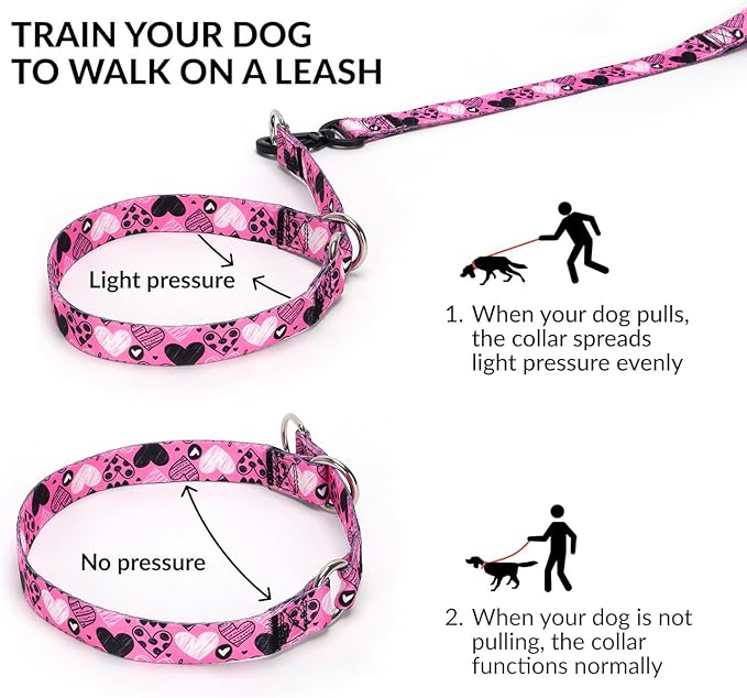 Training Dog Collar, No Pull Martingale Collar, Slip Collar with Slidable Stop Ring for Small, Medium, Large Dogs (NO10, L)