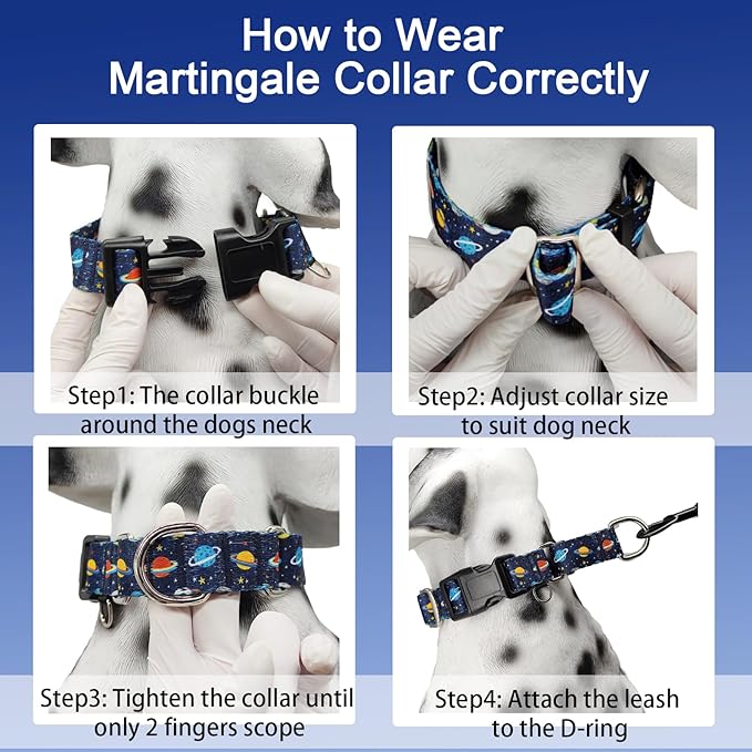 Martingale Dog Collars with Buckle No Slip Training Boy Dog Collar for Large Dogs (Blue Space, Large)