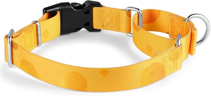 Hyhug Pets Adjustable Martingale Dog Collar with Quick Release Buckle, Colorfast, Heavy Duty, Anti-Escape, Training No Slip Puppy Collar. (Cheese, Extra Large)