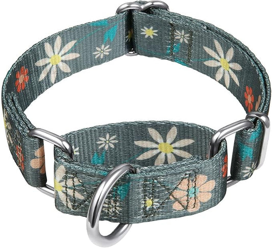 Puppy Dog Collar Floral Print Martingale Collar - No Pull Pet Collar, Heavy Duty Adjustable Dog Collar, Extra Small, Neck 8 Inch -11 Inch, Elegant Flowers (Warm Grey)
