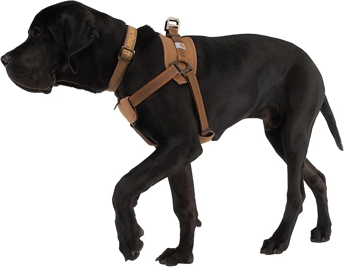 Carhartt Gear P0000341 Nylon Duck Training Dog Harness X-Large Carhartt Brown