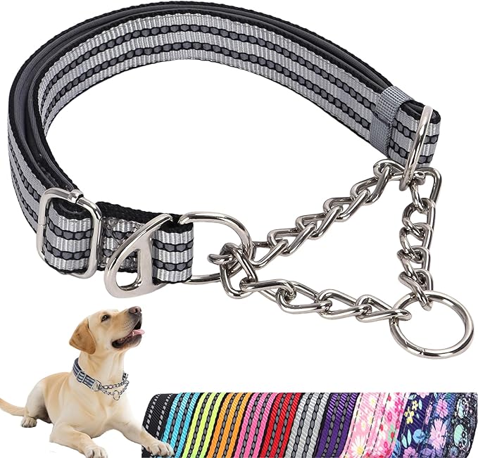 Reflective Martingale Collar for Dogs with Soft Padded Strap with Durable Chain- Adjustable No-Pull Training Collar,Great for Training, Walking, Hunting (Silver L)