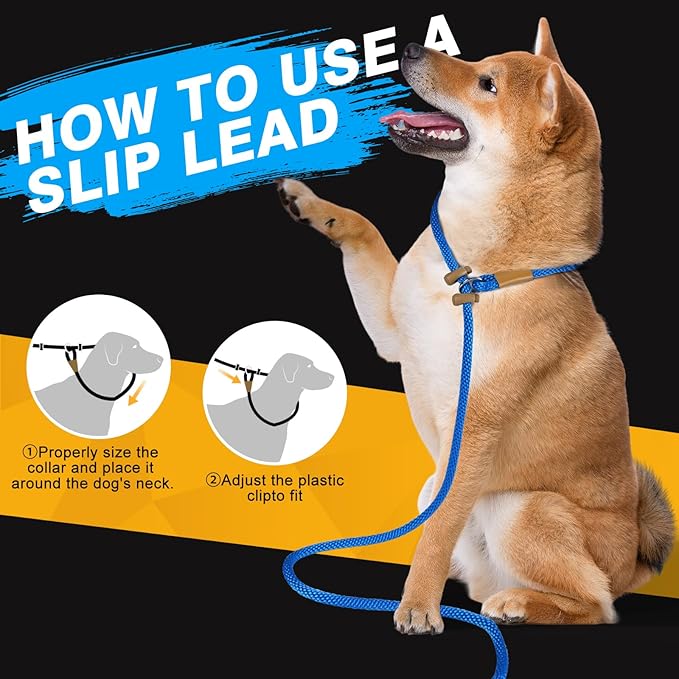 FASTFOX Dog Training Leash, 6ft x 1/2 Inch Slip Lead Loop for Small Medium Large Dogs, No Pull 3-in-1 (Blue)
