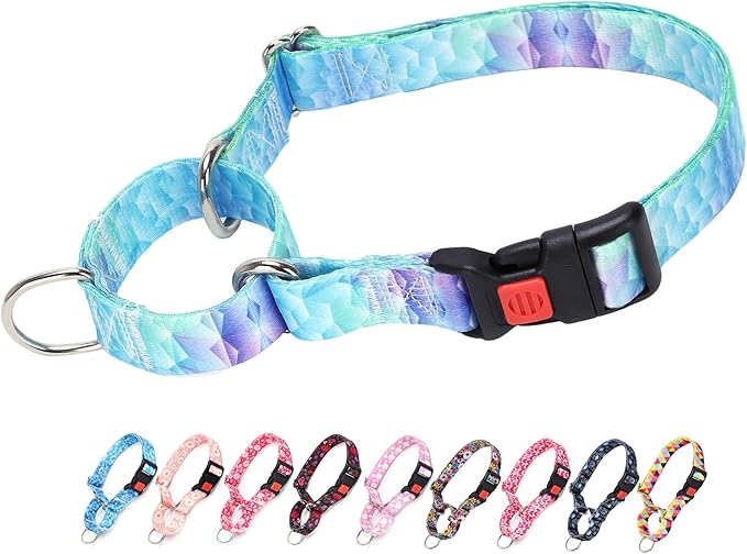 Martingale Collar for Dogs, Blue No Escape Training Dog Collar for Large Dogs, Adjustable Safety Buckle Dog Collar, Perfect Boy and Girl Collar for Training, Walking, Hunting (L)