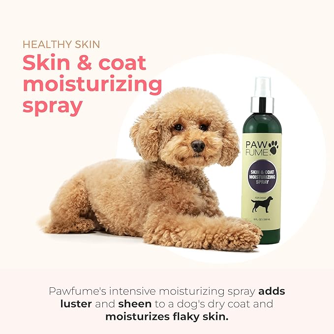 Paw Fume Grooming Dog Spray (Blue Ribbon) + Spray Dog Lotion