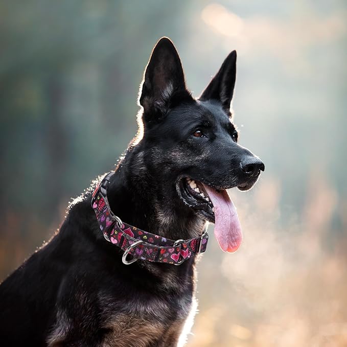 Martingale Collar for Dogs, Girl Dog Collar with Love Heart Design for Small Medium Large Dogs, Adjustable Safety Buckle Dog Collar for Training, Walking, Hunting (L)