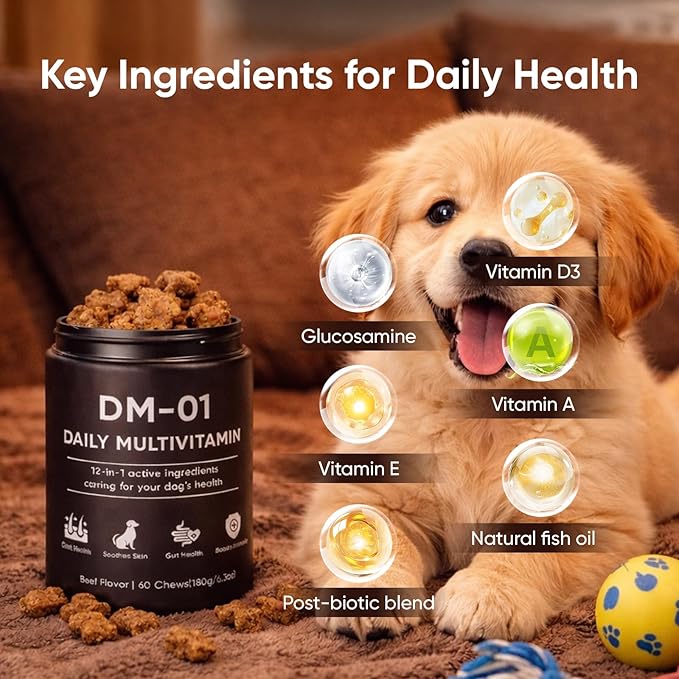 DM-01 Daily Multivitamin for Dogs - Advanced Hip & Joint Support, Boosts Immune System & Digestion, Promotes Skin, Coat & Organ System Health, Enhances Activity & Mood, 60 Chews (1)
