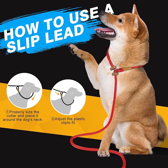 FASTFOX Dog Training Leash, 6ft x 1/2 Inch Slip Lead Loop for Small Medium Large Dogs, No Pull 3-in-1 (RED)