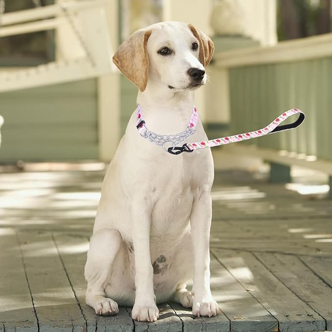 Martingale Dog Collar with Stainless Steel Chain - Limited Chain Cinch Training Collar for No Pull Training Dog - Flower Multicolor Cute Patterns - Premium No Slip Collar (XL, Roses Set)