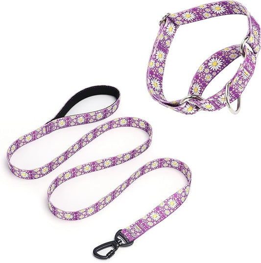 Martingale Collar for Medium Dogs, Girl Dog Collar with Daisy Flowers, Heavy Duty No Pull Dog Collar Floral Design Dog Training Collar, Perfect for Training, Walking, Hunting (Purple + Leash, L)