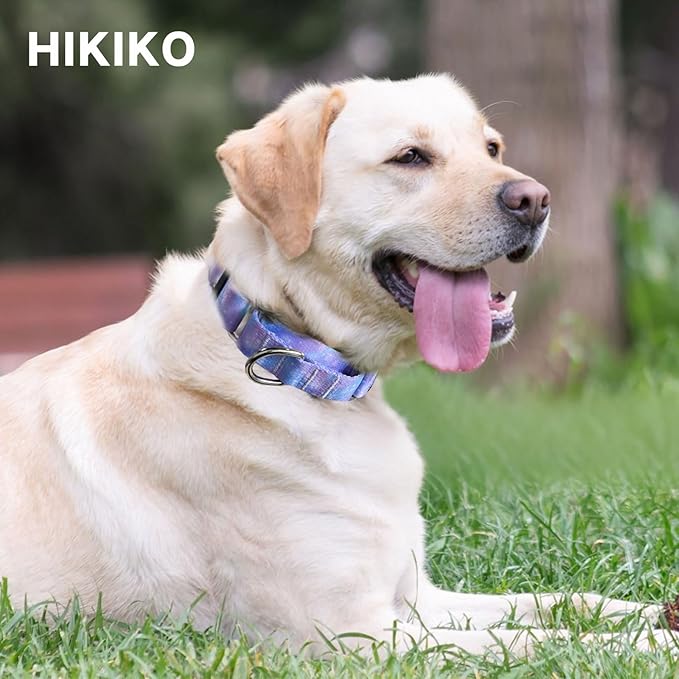 Hikiko Martingale Collar for Dogs with No Buckle Purple Gradient Training Dog Collars for Small Dogs,Tie Dye,S
