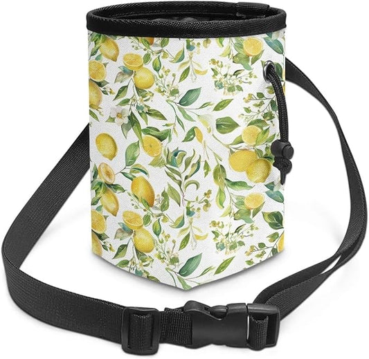 Lemon Puppy Training Pouch Dog Training Treat Pouch Bag Versatile Pocket Sized Pet Feed Snack Reward Pocket for Pet Puppy Travel or Outdoor Use