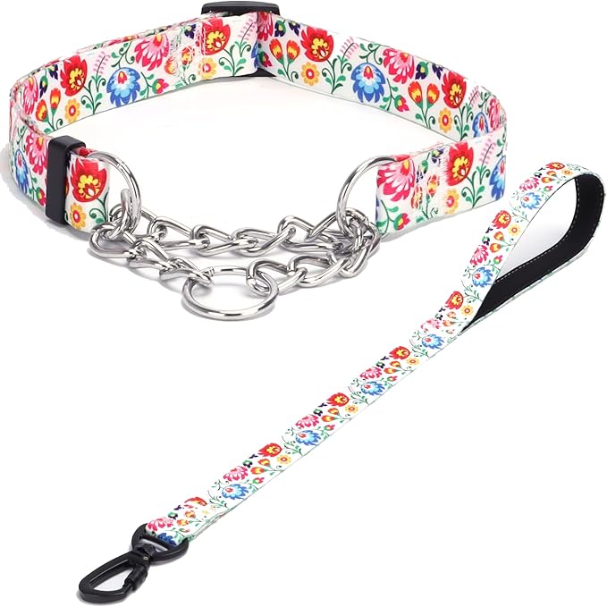 Martingale Dog Collar with Stainless Steel Chain - Limited Chain Cinch Training Collar for No Pull Training Dog - Flower Multicolor Cute Patterns - Premium No Slip Collar (XL, White Set)