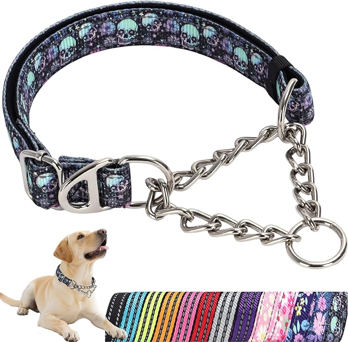 Martingale Dog Collar with Chain,Heavy-Duty Training Collar with No Buckle -No-Pull Dog Collar with Skull Pattern for Medium Large Extra Large and XXL Dogs (Skull XL)