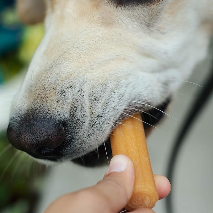 Himalayan Dog Chew Churro Yak Cheese Dog Chews, 100% Natural, Long Lasting, Gluten Free, Healthy & Safe Dog Treats, Lactose & Grain Free, Protein Rich, for All Breeds, Soft, Real Chicken Flavor, 4 oz