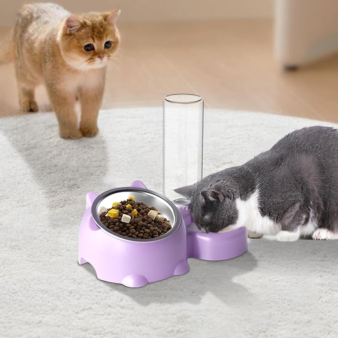 Dog Bowls, Cat Food and Water Bowl Set 16 Degree Tilted Dog Dish with Water Dispenser Automatic Dispenser Bottle Spill Proof Pet Feeder for Cats and Dogs