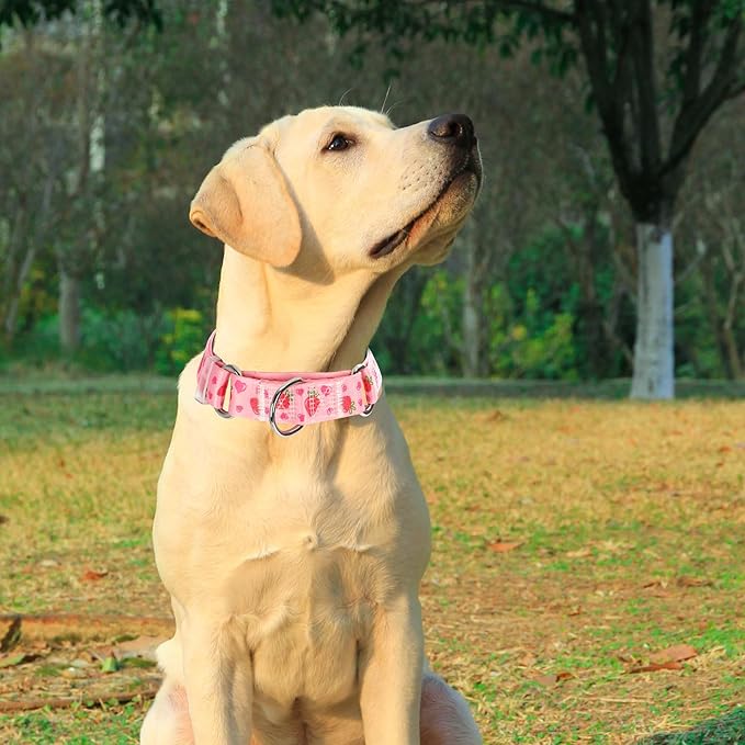 Martingale Dog Collar for Small Pet Dogs- Pink Strawberry No-Slip Escape Proof Choke No Pull Fruit Dog Collar for Male and Female Dogs Training & Walking S