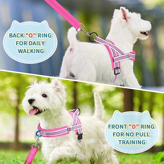 Lukovee No Pull Dog Harness and Leash Set, Soft Padded Small Dog Harness, Neck & Chest Adjustable Reflective Vest Puppy Harness with 4ft Lightweight Anti-Twist Dog Leash for Small Dogs (M, Fuschia)