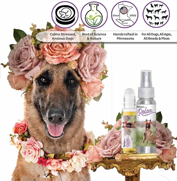 The Blissful Dog Belgian Malinois Relax Dog Aromatherapy Spray for Your Dog's Anxiety