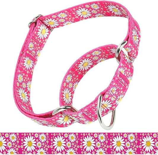 Martingale Collar for Medium Dogs, Girl Dog Collar with Daisy Flowers, Heavy Duty No Pull Dog Collar Floral Design Dog Training Collar, Perfect for Training, Walking, Hunting (Hot Pink, M)