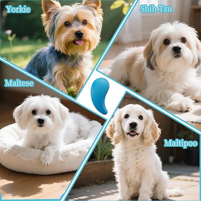 Comma-Shaped Small Dog Brush and Cleaning Comb, Fit for Yorkie, Shih Tzu, Maltese Maltipoo Pomeranian - Gentle Soft Bristles for Effortless Pet Hair Removal, Puppy Essentials (Blue)