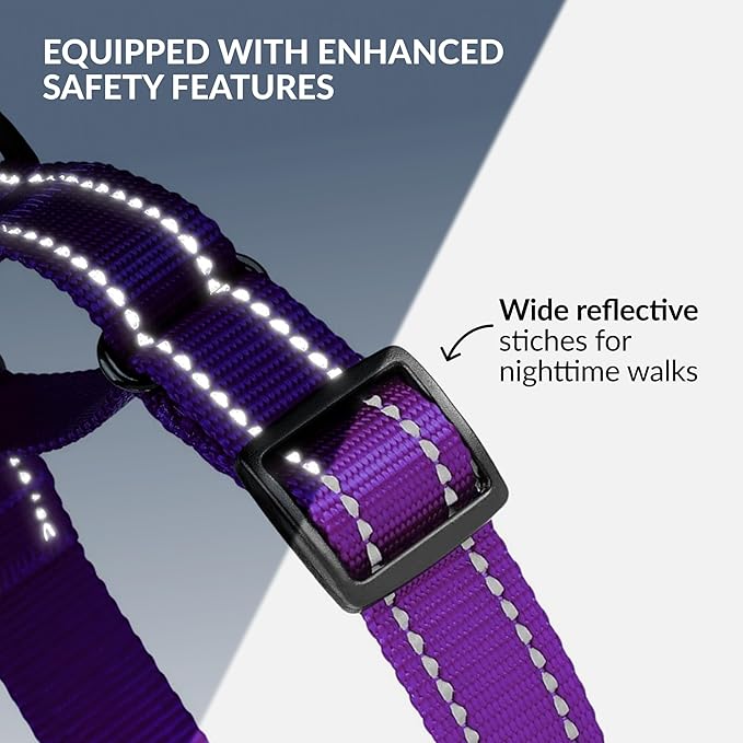Collardirect Reflective Martingale Dog Collar Nylon Training Collars for Small Medium Large Dogs Puppy Pink Orange Green (M, Neck Size 13"-18", Purple)