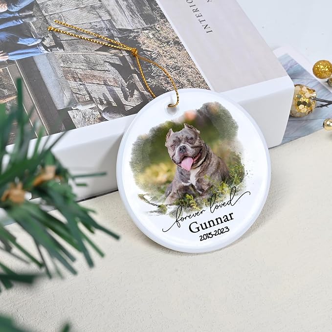 Touber Personalized Dog Memorial Ornament - Ceramic Christmas Ornament for Dog Loss Gifts