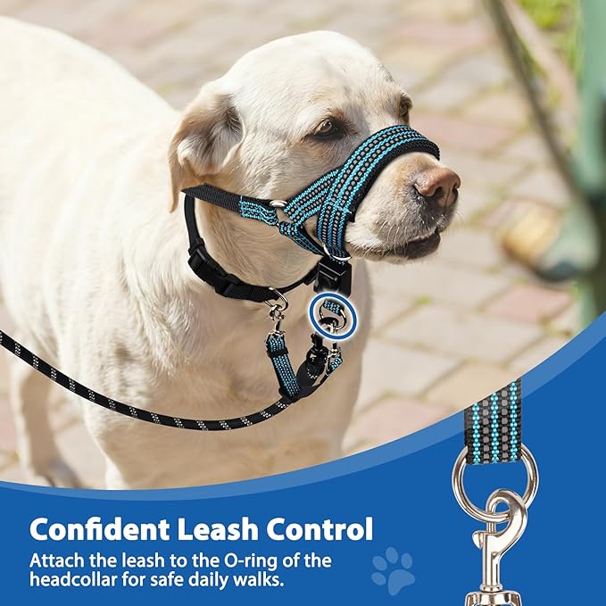 BARKLESS No Pull Dog Head Collar for Gentle Training Walking, Soft Padded Head Halter with Collar Safety Clip, Comfortable Fit Muzzle Leash with Reflective Strap for Medium Large Dog (Blue, XL)
