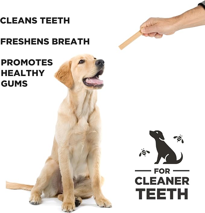Dental Chew Sticks for Dogs 2-Pack, 7 oz Each – Large (M/L) – Textured Dental Treats, Fit Hive Toys – Vegetarian, Made with Ground Peanuts & Honey, No Grain or Soy, Cleans Teeth & Freshens Breath
