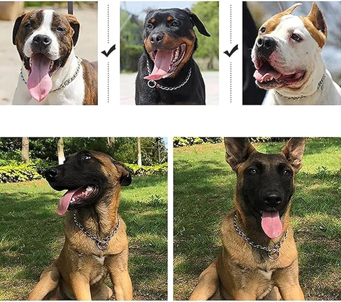 Chain Dog Choker Collar for Large Dogs, Metal Slip Link Training Heavy Duty Dog Choke Collar Martingale Puppy Collars for Small Medium Large Big XL Breed Dogs (Silver, L)
